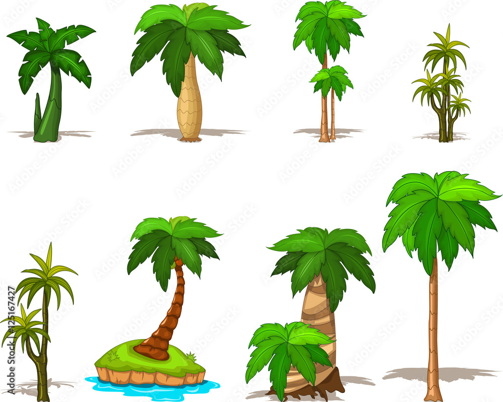 Naklejka premium palm tree collection