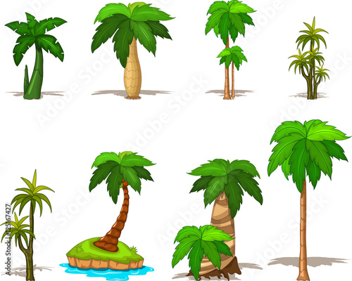 palm tree collection