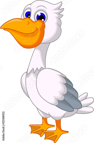 Cartoon Pelican