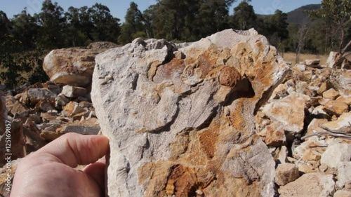 Fossil Excavation and Extraction photo