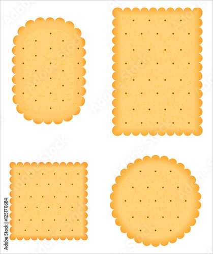 a biscuit vector photo