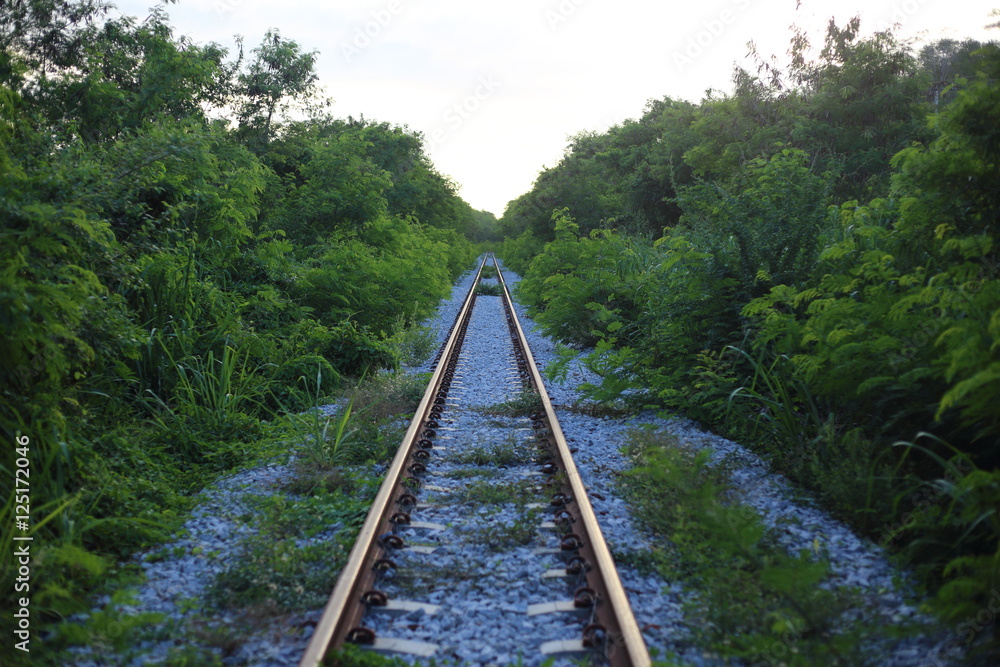 Fototapeta premium railway goes to horizon in green landscape