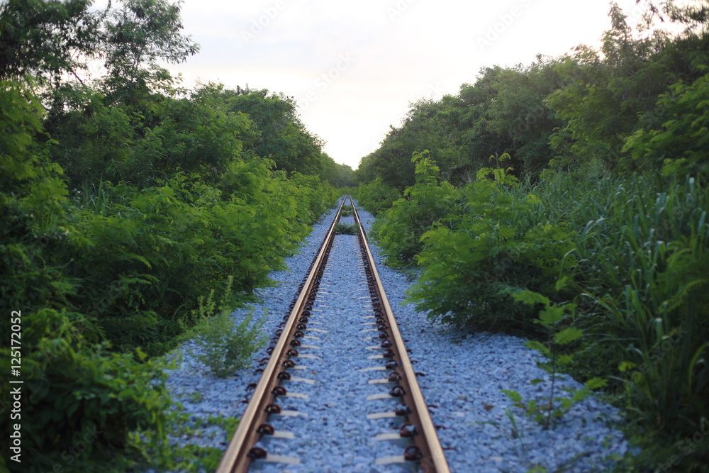 Fototapeta premium railway goes to horizon in green landscape
