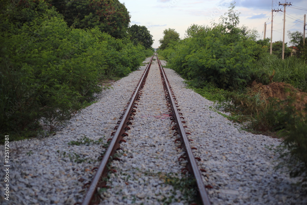railway goes to horizon in green landscape railway goes to horizon in green landscape