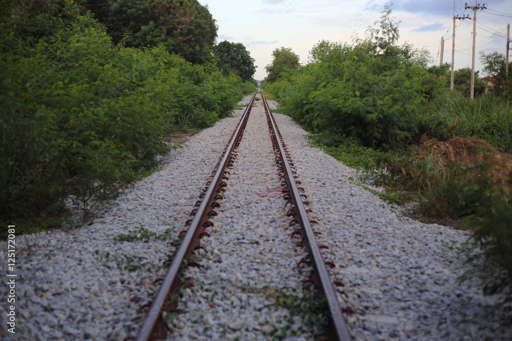 railway goes to horizon in green landscape