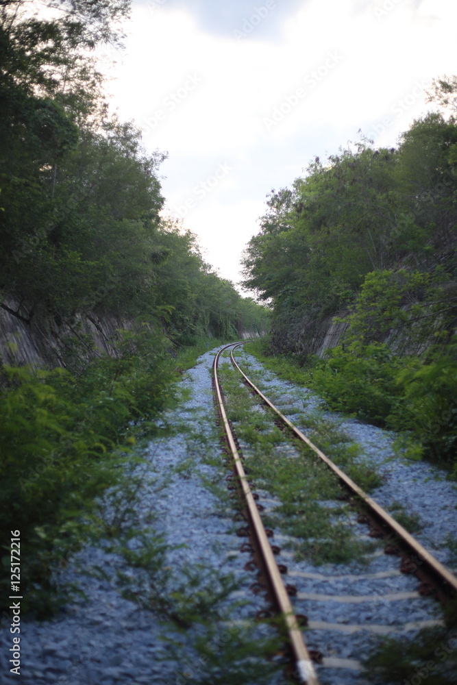 Obraz premium railway goes to horizon in green landscape