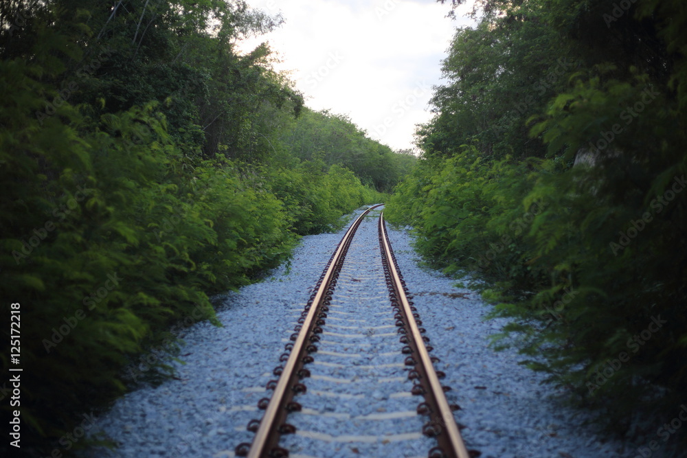 railway goes to horizon in green landscape railway goes to horizon in green landscape