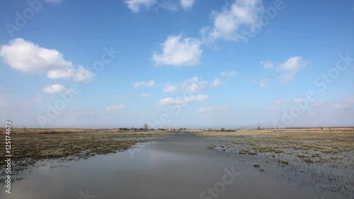 Wallpaper Mural This video was supposed to show "King Pond", a huge marsh pool on Ecka, Zrenjanin, Serbia. It used to be full of fish, geese, herons and all kind of water bound birds. Torontodigital.ca