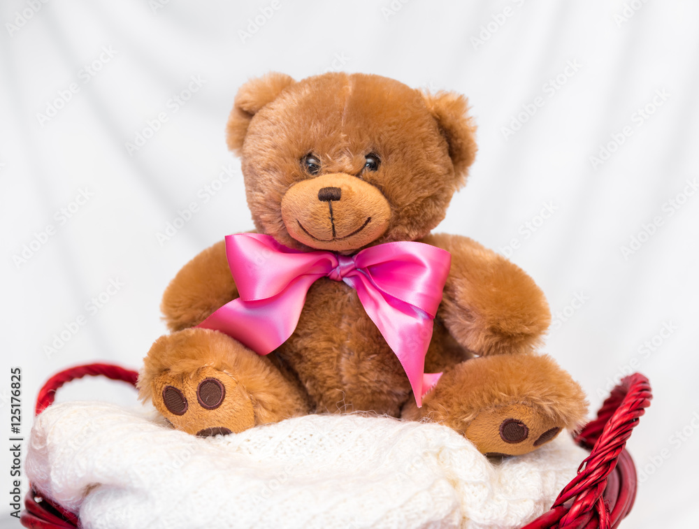 Teddy bear on the child basket