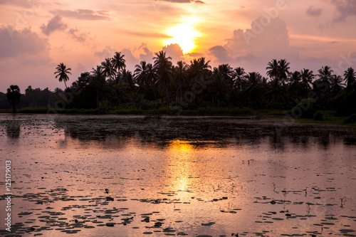 Beautiful sunset over the swamp in Sri Lanka