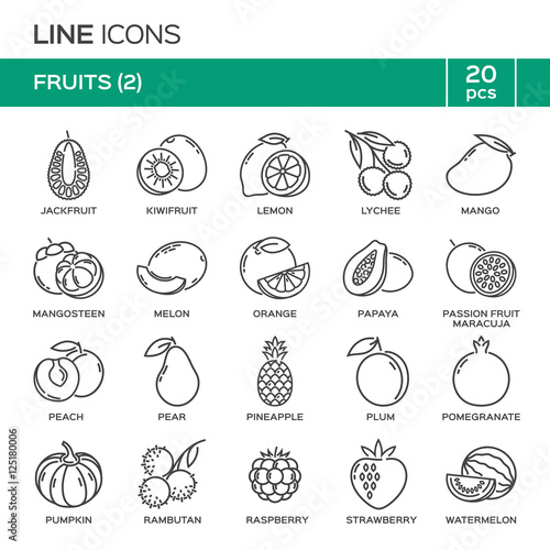 Fototapeta Naklejka Na Ścianę i Meble -  Set of fruit thin line icons in alphabetical order. Fruit symbols, labels, emblems. Vector illustration. Part 2.