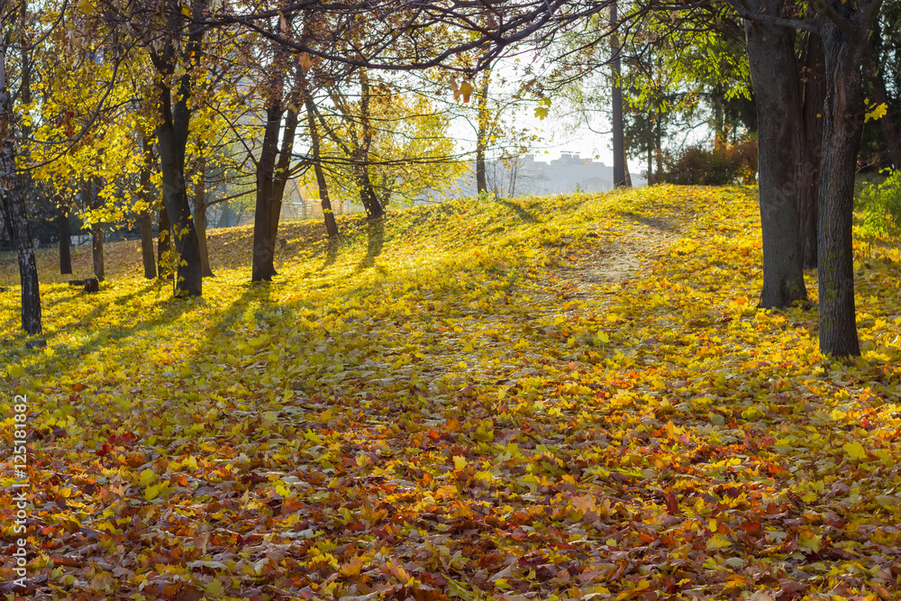 Walkway in the park is covered with fallen leaves Walkway in the park is covered with fallen leaves
