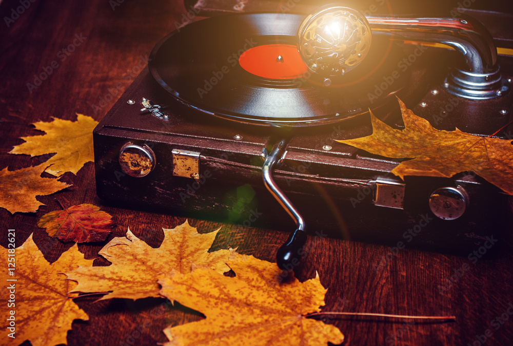 An old dusty gramophone playing a vinyl record at autumn time Stock Photo |  Adobe Stock