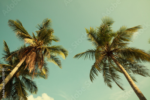 Coconut palm tree on beach with vintage toned.