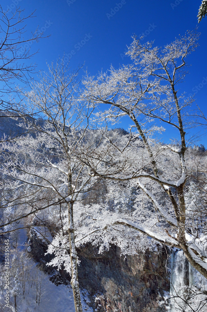 冬晴れの雪景色と日光華厳の滝