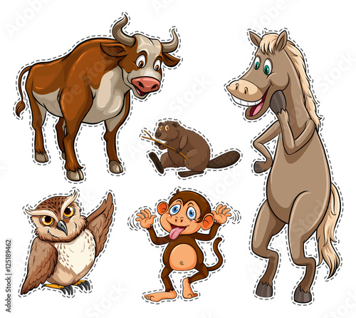 Different types of wild animals