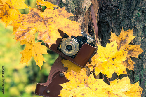 Foto Autumn concert, retro camera on a autum background