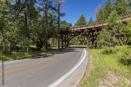 Wooden Road Bridge In The Woods
