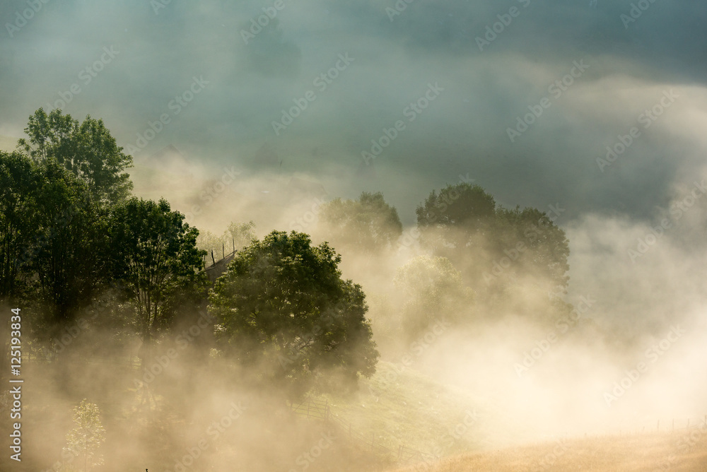 Fototapeta premium Fantastic scenery with fog illuminated by the morning sun in Apuseni Mountains, Romania. Dramatic scenery.