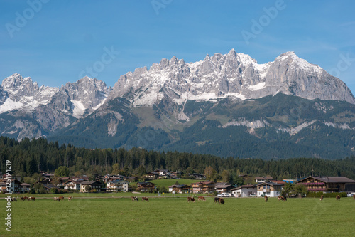 View of the Altay Alpes, village and grazing cows.