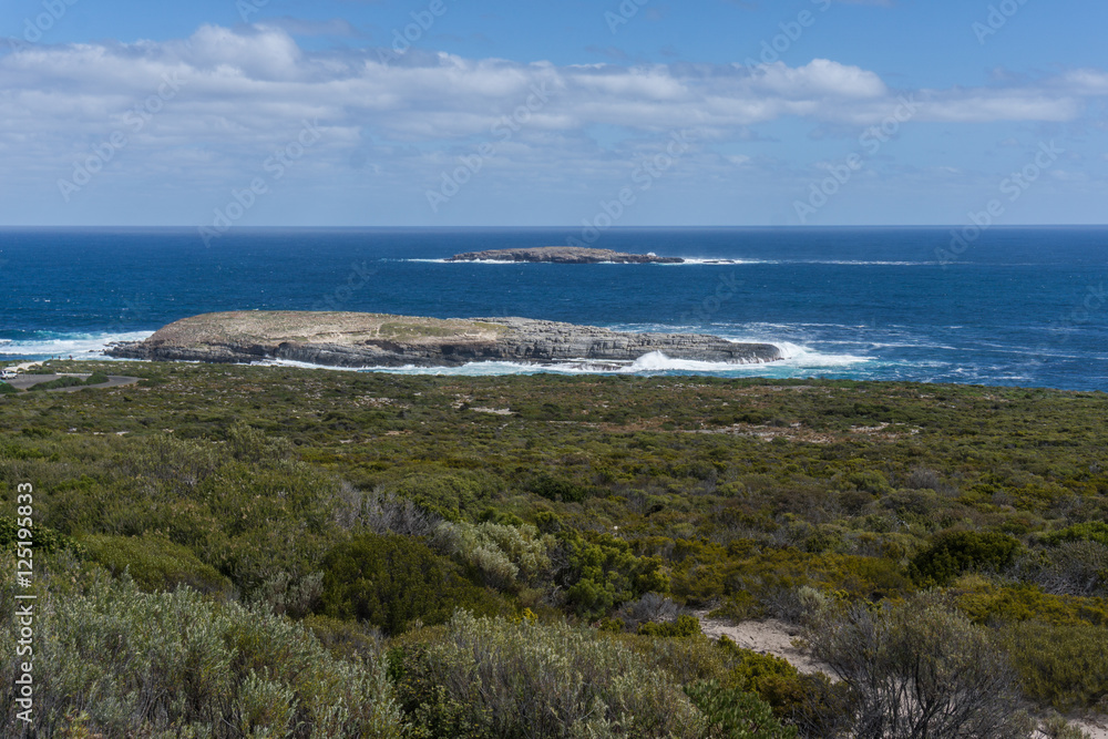 Kangaroo Island Coast Line near Admiral Arch. Southern Australia Kangaroo Island Coast Line near Admiral Arch. Southern Australia