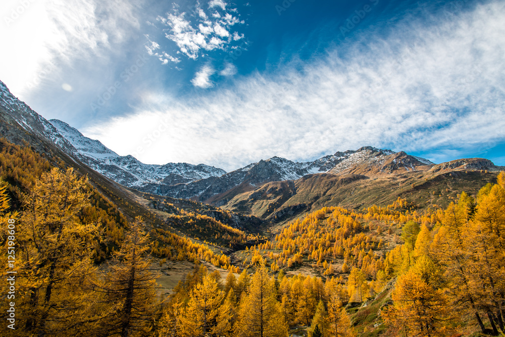 Fototapeta premium Automne au Simplon