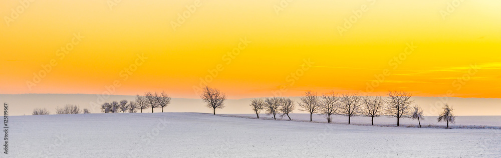 Fotobehang Oranje winter landscape with tree alley  in sunset #125199667