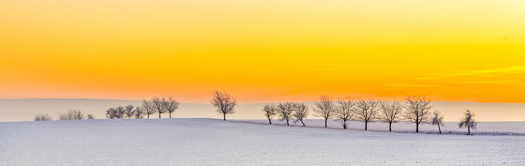 Acrylglasbilder Orange winter landscape with tree alley  in sunset  © travelview
