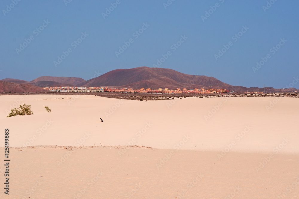 Fuerteventura, Isole Canarie: le dune di sabbia del parco naturale di Corralejo il 29 agosto 2016: 11 chilometri di dune formatesi dalla sabbia del Sahara portata dal vento