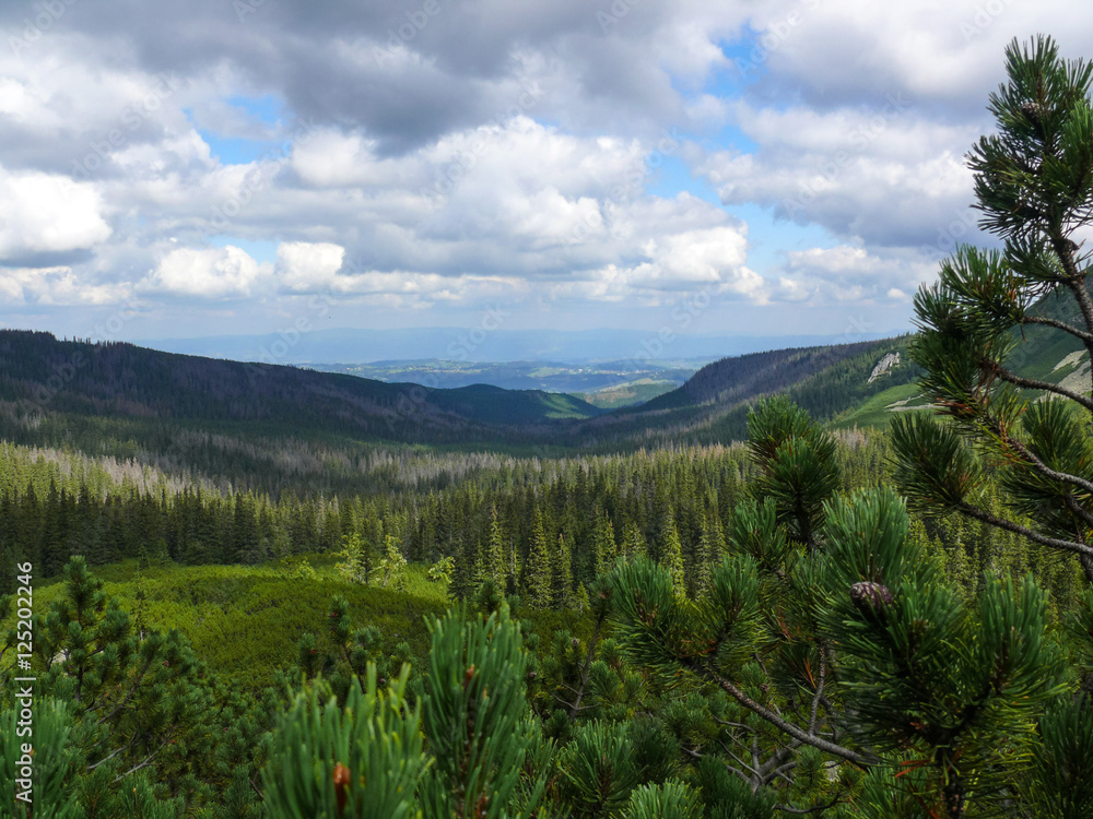 Mountain view from the Tatras mountain range Mountain view from the Tatras mountain range