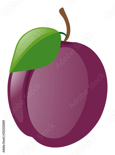 Fresh plum on white background