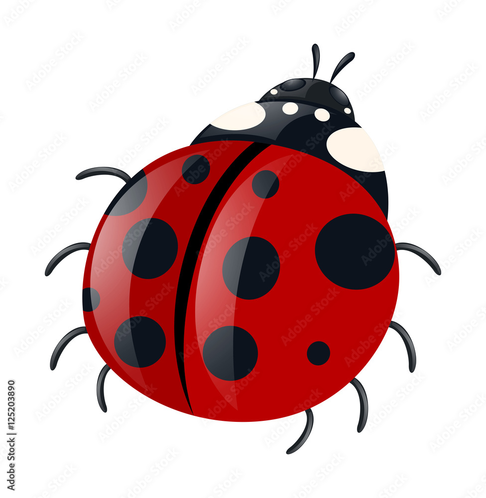 Ladybug with red wings Ladybug with red wings