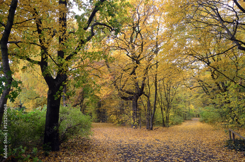 Naklejka premium jungfernheide