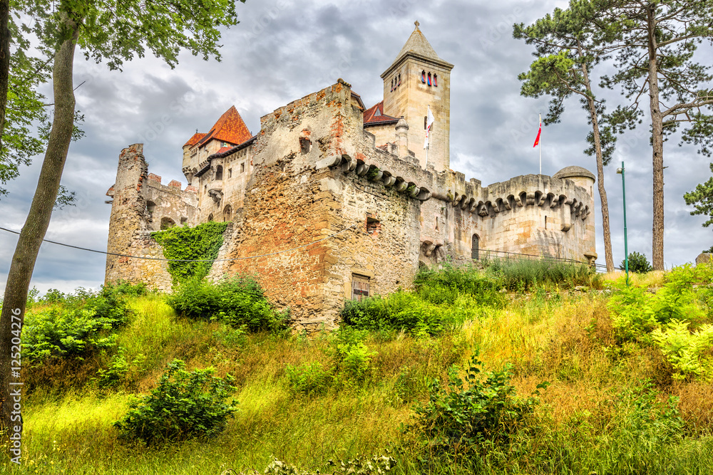 Medieval castle in Austria