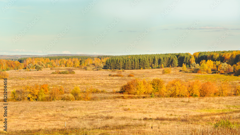 autumn beautiful panoramic rural landscape autumn beautiful panoramic rural landscape