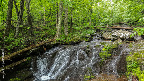 Dark Hollow Falls Forest In The Shenandoah Valley National Park 