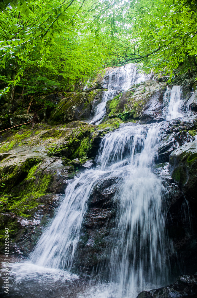Shenandoah National Park Dark Hallow Falls Shenandoah National Park Dark Hallow Falls