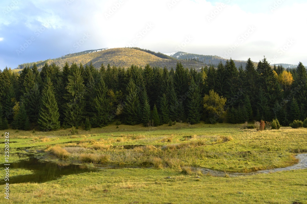 Naklejka premium nature