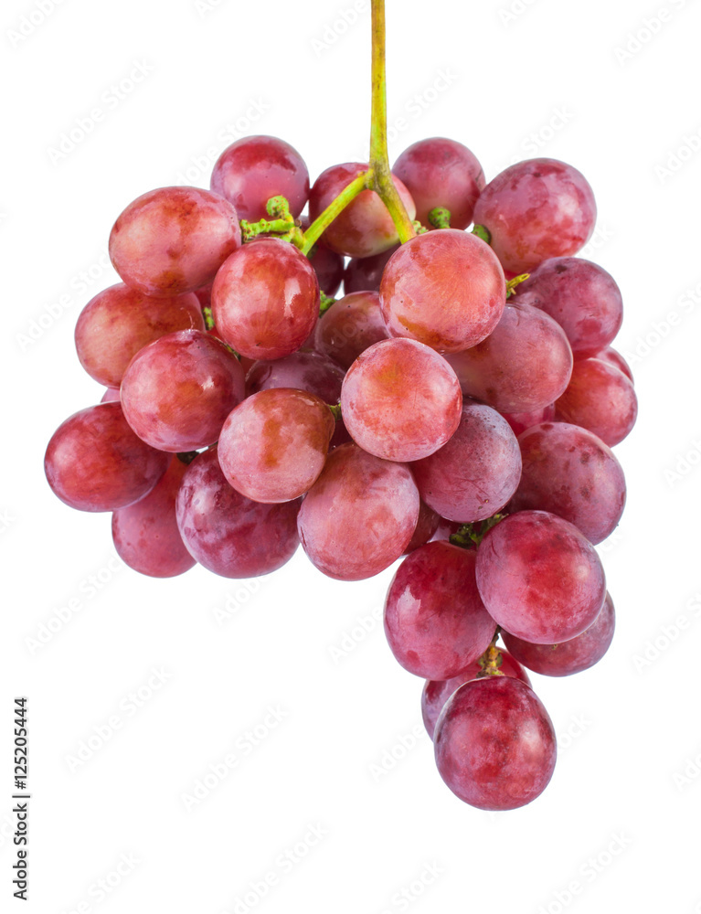 Bunch of pink grapes. On white, isolated background. Bunch of pink grapes. On white, isolated background.