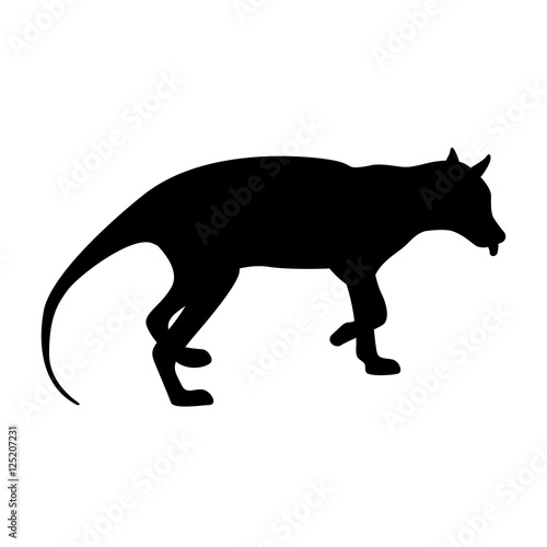Fototapeta Naklejka Na Ścianę i Meble -  Tiger tasmanian vector illustration black silhouette profile