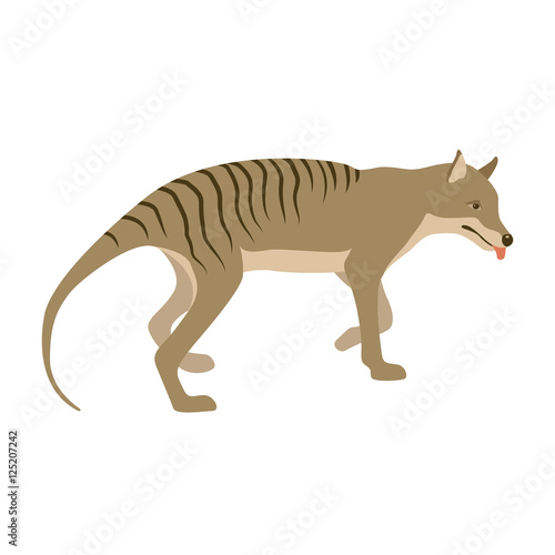Fototapeta Naklejka Na Ścianę i Meble -  Tiger tasmanian vector illustration style Flat