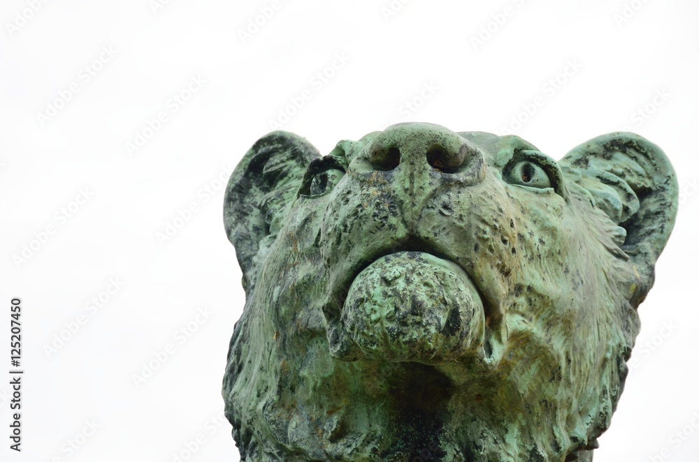 Stone Statue of Lioness  Head