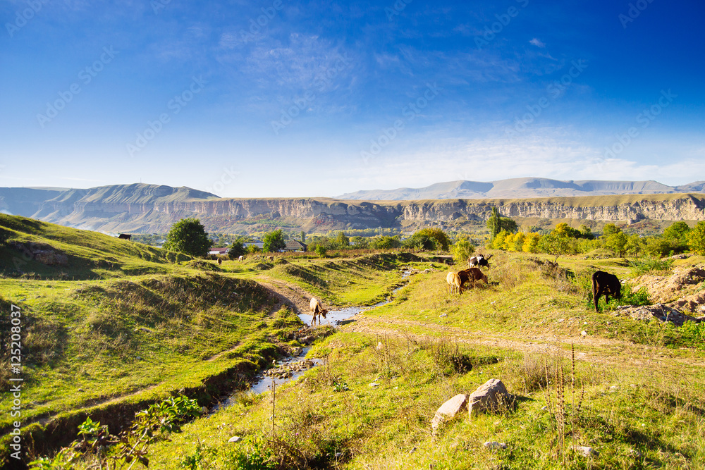 Beautiful landscapes with high mountains of Georgia, Europe.