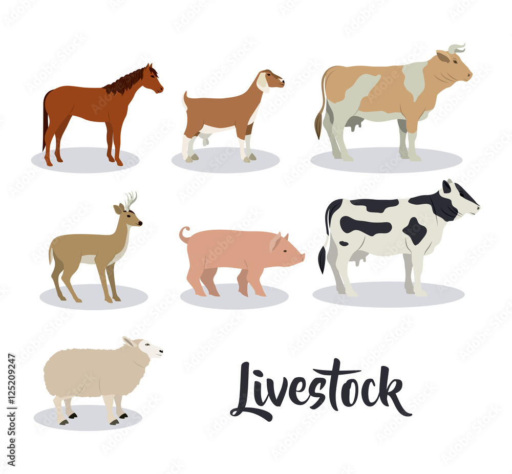 Horse goat deer cow beet lamb and pork icon. Livestock animal life nature and fauna theme. Isolated design. Vector illustration