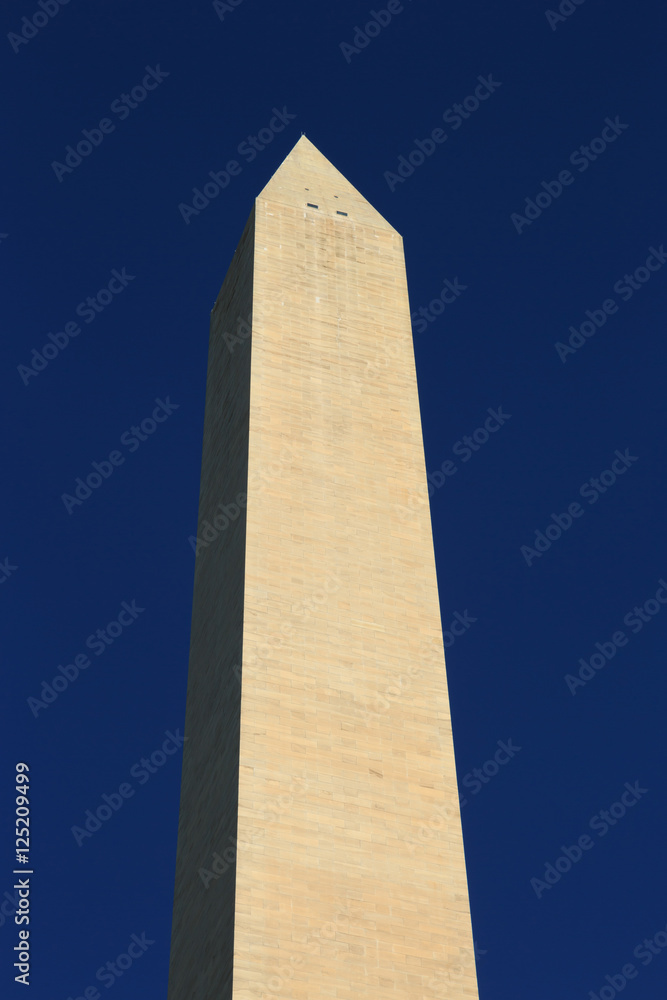 The Washington Monument