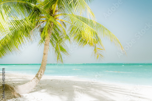 Fototapeta Naklejka Na Ścianę i Meble -  Sunny day at amazing tropical beach with palm tree, white sand and turquoise ocean waves. Myanmar (Burma) travel landscapes and destinations