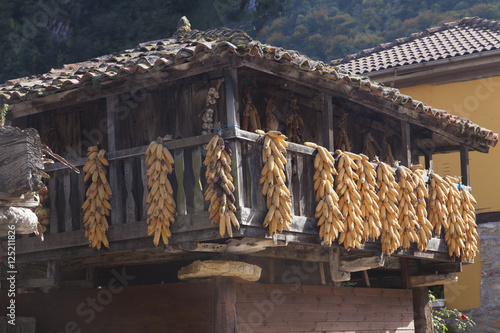 Hórreo asturiano con cosecha de maíz secando