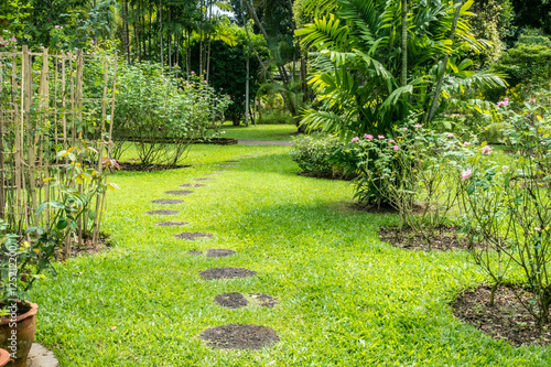 Laterite Pathway in the park