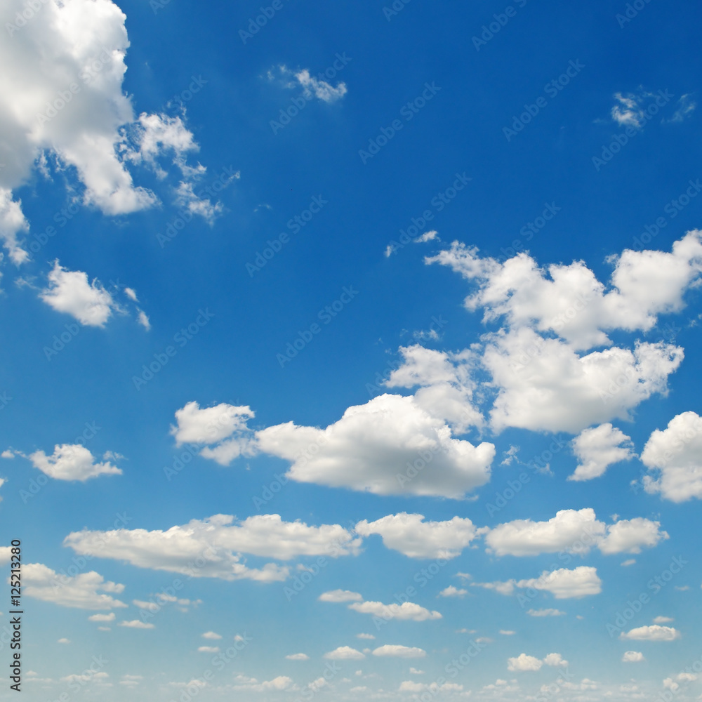 Fototapeta premium light cumulus clouds in the blue sky