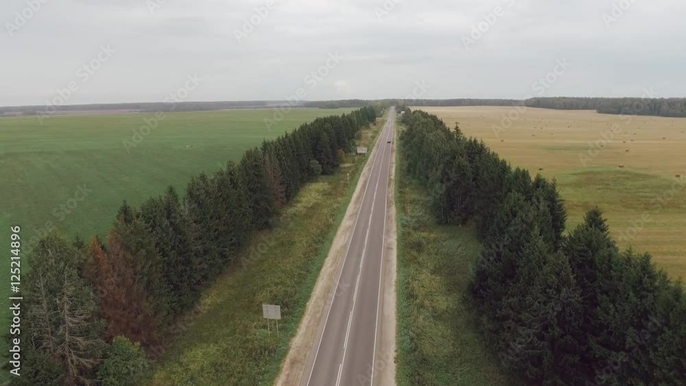 Vehicles traveling distance by road between the trees Vehicles traveling distance by road between the trees